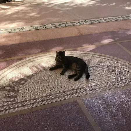 Superbe Duplex En Bord De Λα Σιοτά